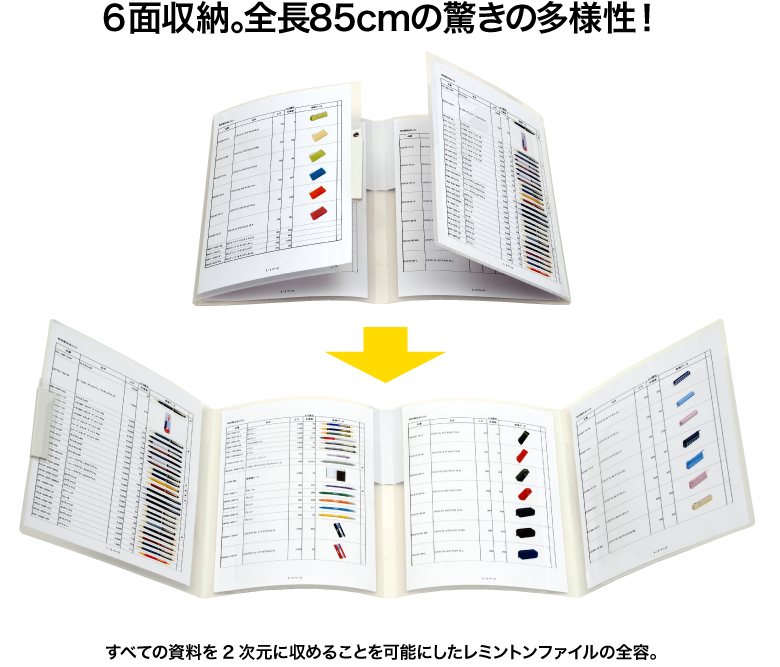 ６面収納。全長85cmの驚きの多様性！