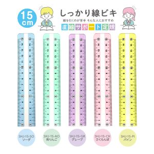 しっかり線ビキ定規 名入り
