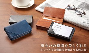 セキセイ べルポス卜 名刺入れ 通販