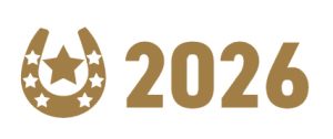 2026年 お年賀 文具
